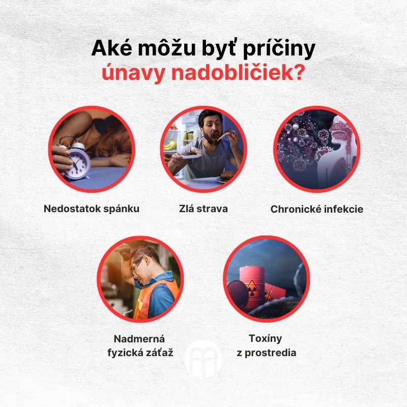 (Slovenčina) Jaké mohou být příčiny únavy nadledvinek (1)